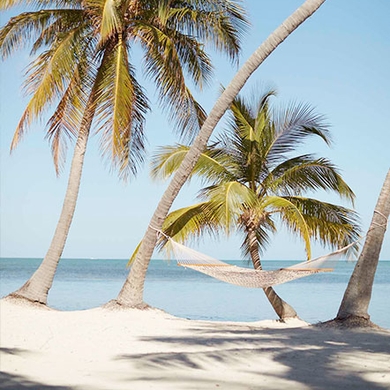 hammock on the beach